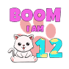 Chat de 12e anniversaire