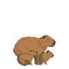 Capybara Animal Rodent Capibara