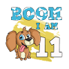 11th birthday dog