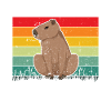 Capybara Animal Rongeur Capibara