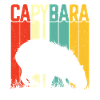 Capybara Animal Rodent Capibara