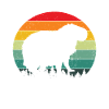 Capybara Animal Rongeur Capibara