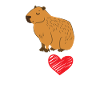 Capybara Animal Rodent Capibara