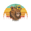 Capybara Animal Rodent Capibara