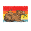 Capybara Animal Rodent Capibara