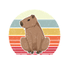 Capybara Animal Rongeur Capibara