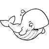 A fat, happy whale