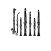 Clarinettiste Musiciens d’orchestre