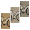 Pro bike