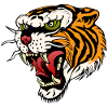 tiger tattoo tattoo roar wild