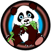 Panda king