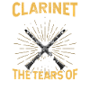 Clarinettiste Musiciens d’orchestre