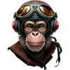 Chimpanzee - Monkey