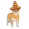 Mexican Chihuahua Dog Lovers Sombrero