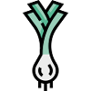 Leek Icon