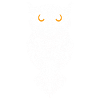 Eule Wikinger Runen