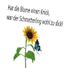 Schmetterling auf Blume