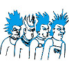 Punk team
