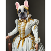 French bulldog dressed luxuriously