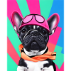 French Bulldog fashion chic style