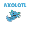 Axolotl Explication Anatomie d’un Axolotl