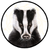 Badger with logo