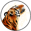 Tiger smiling