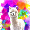 aquarell alpaca