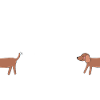 Little Viennese - Funny Long Dog