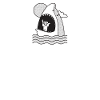 Shark Gift Shark Lover