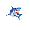 Shark Gift Shark Lover