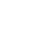 Shark Gift Shark Lover