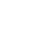 Shark Gift Shark Lover