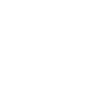 Shark Gift Shark Lover