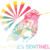 Guardians of nature #Kolibri