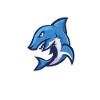 Shark Gift Shark Lover