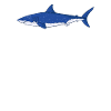 Shark Gift Shark Lover