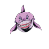 Shark Gift Shark Lover