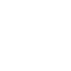 Shark Gift Shark Lover