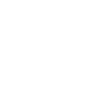 Sunshine And Lollipops 4