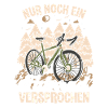 Only one bicycle left