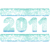 Year 2011