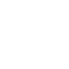den 1985