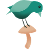 A bird on a mushroom