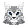 Chat polyline