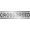 Krzyżówka DNB Drum and Bass Junglist