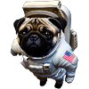 Pug floating in space