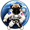 Pug in space