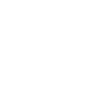 Limited Edition 1966