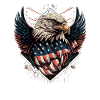 American Patriotic USA Design